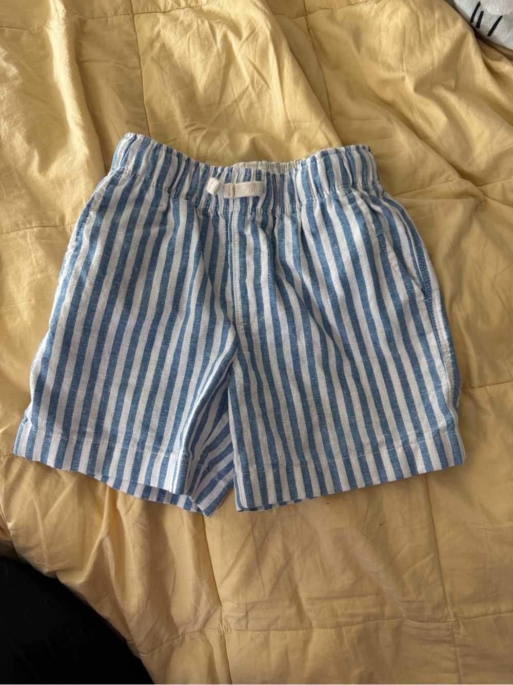 crewcuts shirts size 5